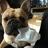 mariesecret7