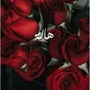 halawaleed25