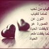 user8233046737653