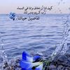 user659040183