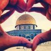 mohammad_abo_alezz