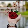 karo19020