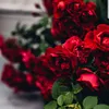rosey1204