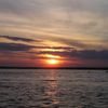 lively_77