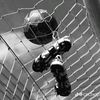 hazem12l