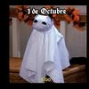 eduardo_rock01