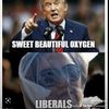 holymullyy