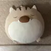 takapon60