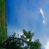 usevggv