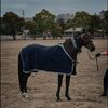 zoejade.equestrian