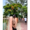 krishna__das_9076