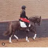 kim_jansen06