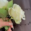 user688960030