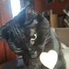 justhereforcatsandcleans