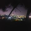 fareees7466