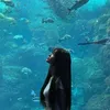 jasmine_tea72