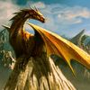 dragon_kofe