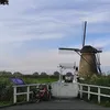 saraistorm