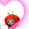 honeymoon_47