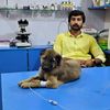 Dr umair official