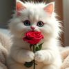 olesya132527