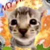 skibidisigmuzz69
