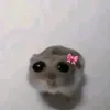 halopez7
