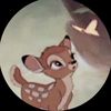 rim2_2