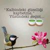 ebru12_12