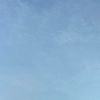 observant_232