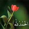 adnanali19810