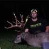 rogue_whitetails