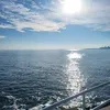 ionestc42