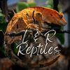 l_and_r_reptiles