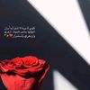 بنت المزيونه