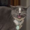 Dewey Von
