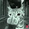 user90444925