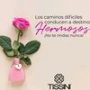esther89555612