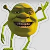 don_shrek365
