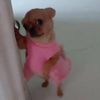 rocky_4221