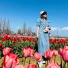 thao_tayninh70
