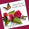 user181893018