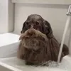 woejitl