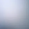 xddcxsyg