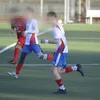 lewin_hmb040