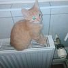 sandrine020269