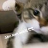 lqmnhkimm7