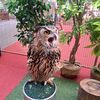 jakk_777
