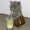 _khongthichanca0