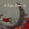 dwsh8